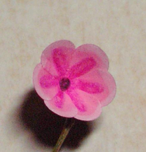 Bild: Großaufnahme einer einzelnen Blüte