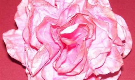 Pfingstrose aus Papier basteln