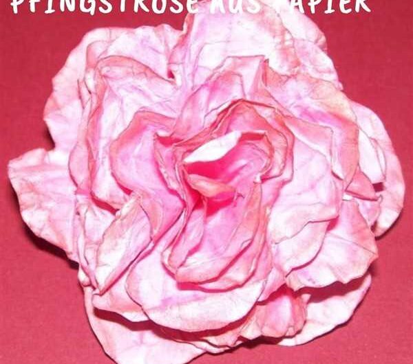 Pfingstrose aus Papier basteln