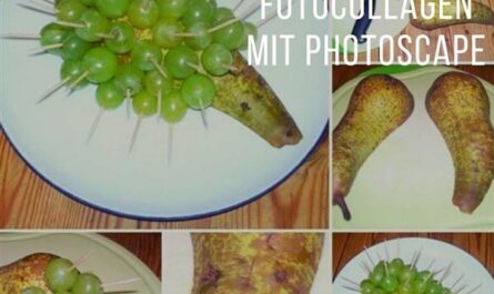 Collage mit Photoscape erstellen