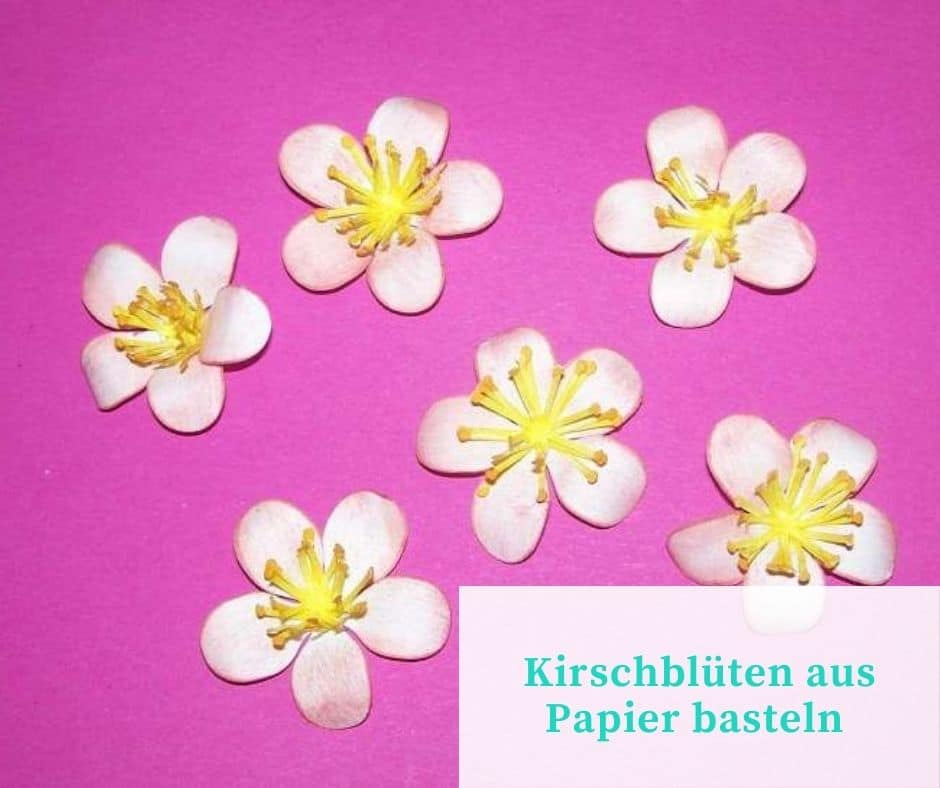 Kirschblüten aus Papier basteln