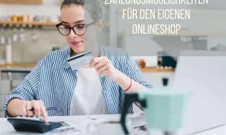 Zahlungsmöglichkeiten für den eigenen Onlineshop