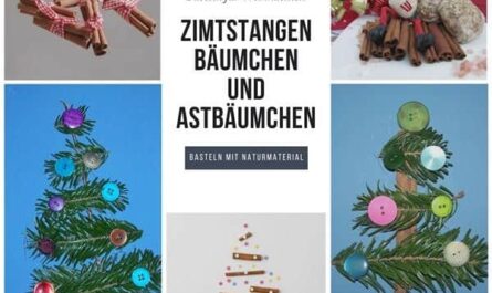 Zimtstangenbäumchen und Astbäumchen