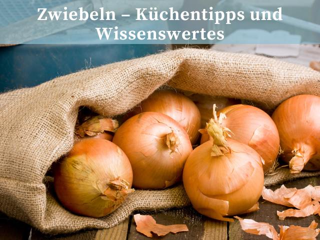 Zwiebeln – Küchentipps und Wissenswertes