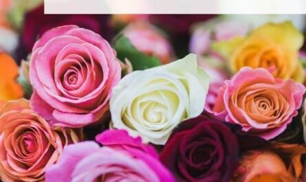Valentinstag - die Sprache der Rosen