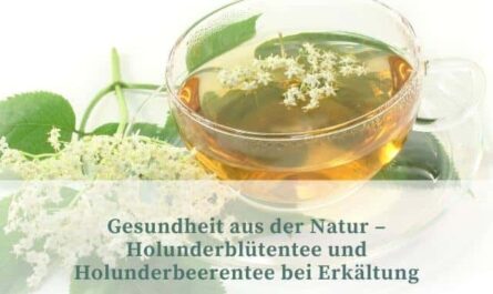Gesundheit aus der Natur - Holunderblütentee und Holunderbeerentee bei Erkältung
