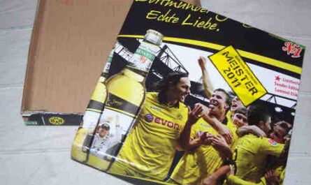 Schachtel aus Bierverpackung