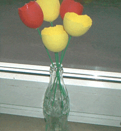 Tulpen aus Eierschalen