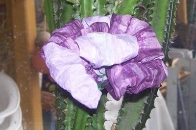 Blumen aus finnischer Papierschnur