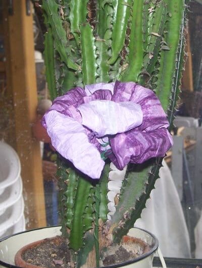 Blumen aus finnischer Papierschnur