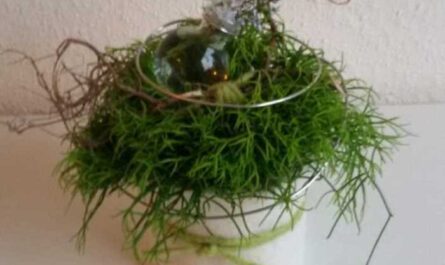Blumige Topfpflanze