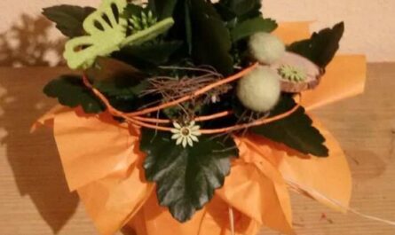 Blumige Rettung in letzter Sekunde