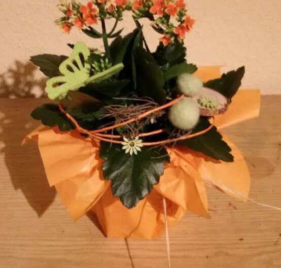 Blumige Rettung in letzter Sekunde