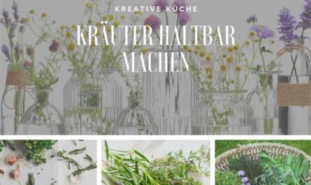 Kräuter haltbar machen
