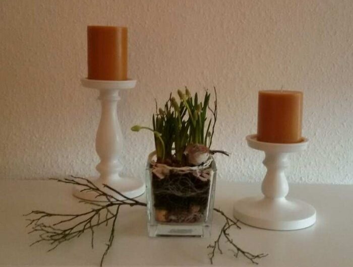 Frühling im Glas – Muscari