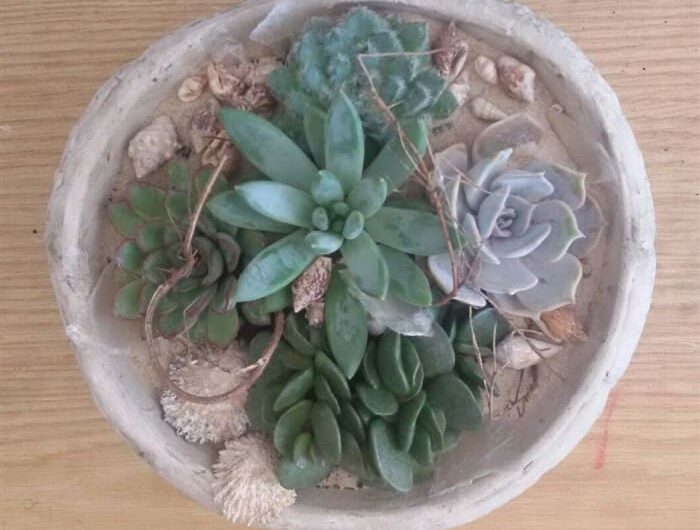 Do it yourself- Das Mitbringsel: Muscheln