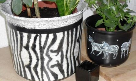 Zebra - zwei Blumentöpfe