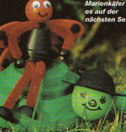 Schildkröte