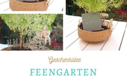 Feengarten als Geldgeschenk basteln Titelbild