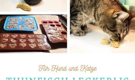 Thunfisch-Leckerlis selber machen für Katzen und Hunde