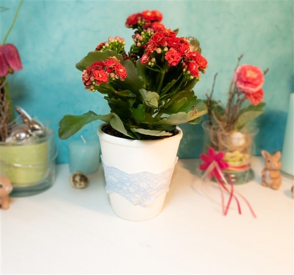 DIY Blumentöpfe verzieren mit Spitze und Farbverlauf
