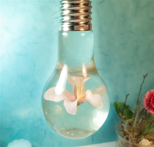 Deko-DIY: Glühbirnen mit schwebender Blumen