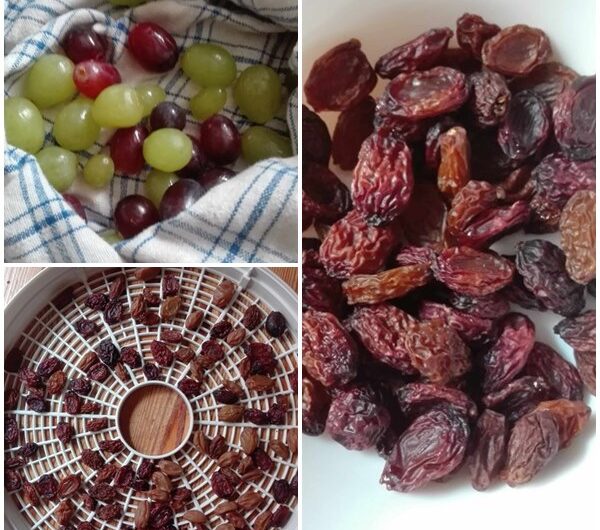 Rosinen selber machen