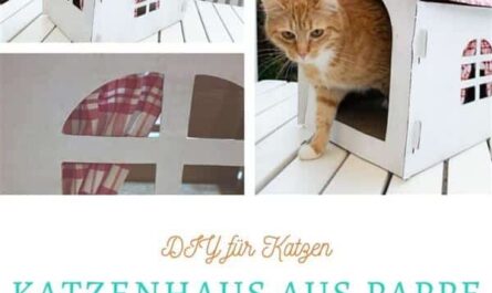 Katzenhaus aus Pappe umgestalten Titelbild