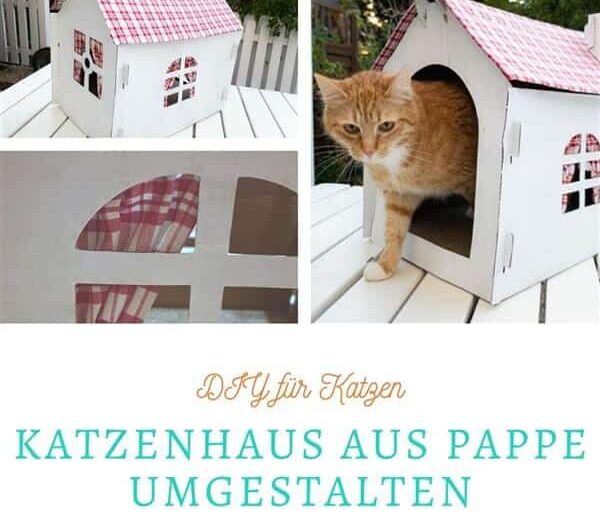 Katzenhaus aus Pappe umgestalten