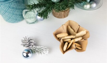 Weihnachts-DIY: Stern-Plätzchenschale aus Kork nähen