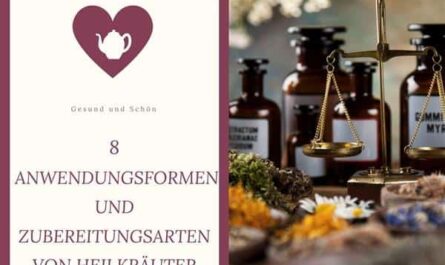 8 Anwendungsformen und Zubereitungsarten von Heilkräuter