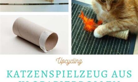 Katzenspielzeug aus Klopapierrollen selber machen