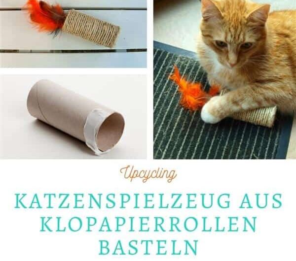 Upcycling: Katzenspielzeug aus Klopapierrollen basteln