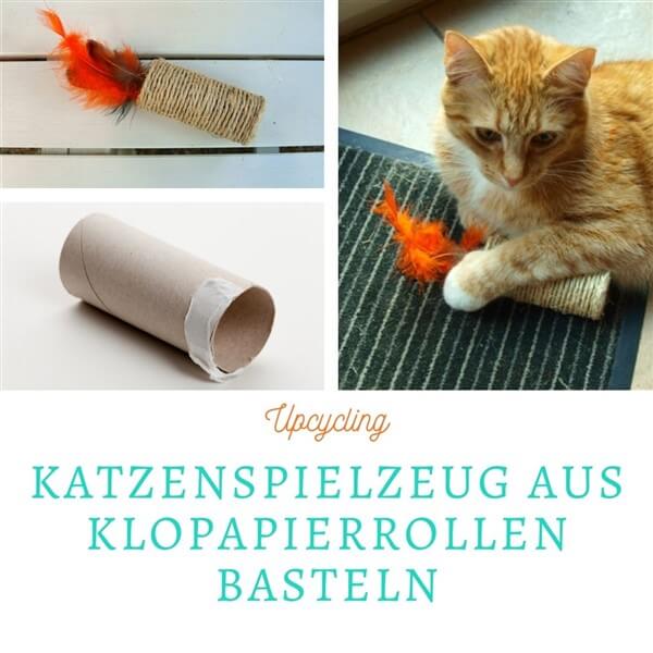 Upcycling: Katzenspielzeug aus Klopapierrollen basteln