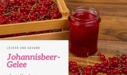Johannisbeergelee ohne Kochen