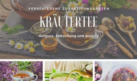 Kräutertee: Aufguss, Abkochung und Auszüge
