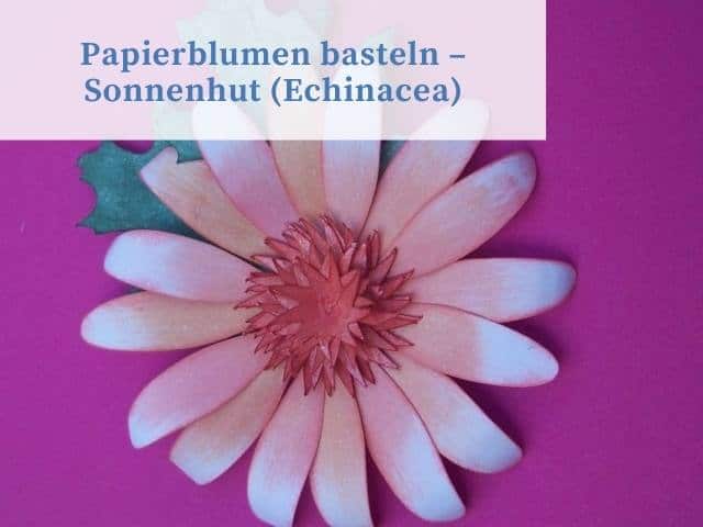 Echinacea aus Papier basteln