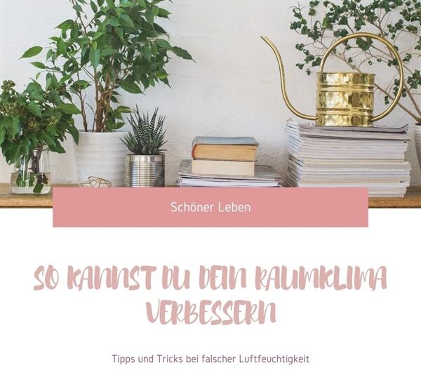Zu trockene oder zu feuchte Luft? So kannst du dein Raumklima verbessern