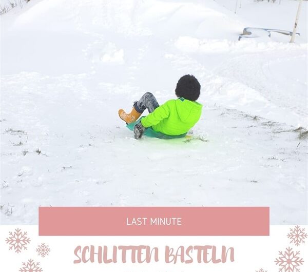 Last Minute Schlitten selber basteln