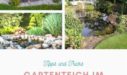 Gartenteich im Eigenbau
