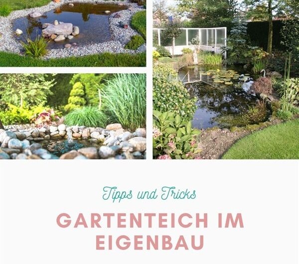 Tipps und Tricks: Wie du deinen Gartenteich im Eigenbau anlegst
