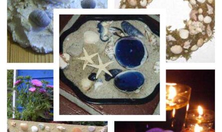 50 tolle Bastelideen mit Muscheln
