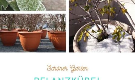 Pflanzkübel winterfest machen