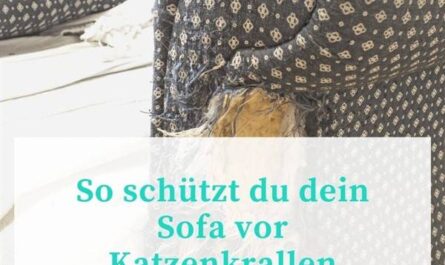 Sofa vor Katzenkrallen schützen