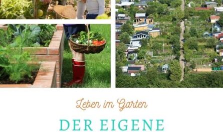 Der eigene Kleingarten: Was ist erlaubt?