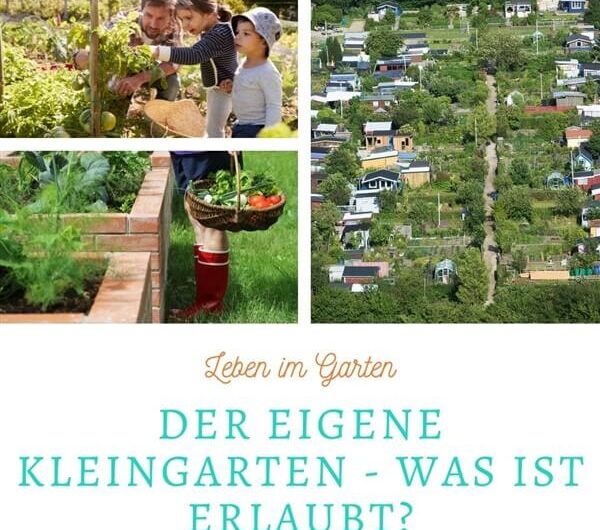 Der eigene Kleingarten: Was ist erlaubt?