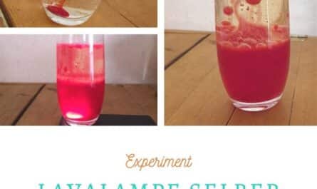 Lavalampe selber machen