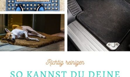 Fußmatten reinigen