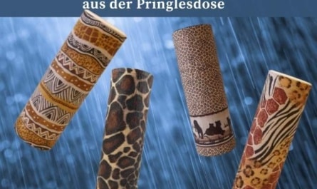 Regenmacher basteln – Klangvolle DIY-Idee aus der Pringlesdose