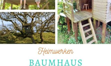 Baumhaus bauen Titelbild